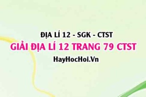 Giải Địa lí 12 trang 79 Chân trời sáng tạo SGK